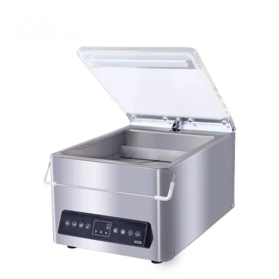 Fashion Packing Hualian Packaging Sealers Bag Vacuum Sealer Machine Food Savers Hvc-210t/1d