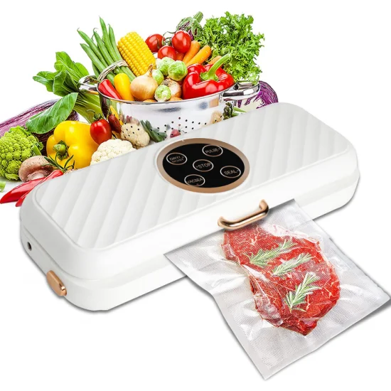 Ootd OEM Logo Household 220V 110V Automatic Food Packaging Machine Sous Vide Vacuum Sealer